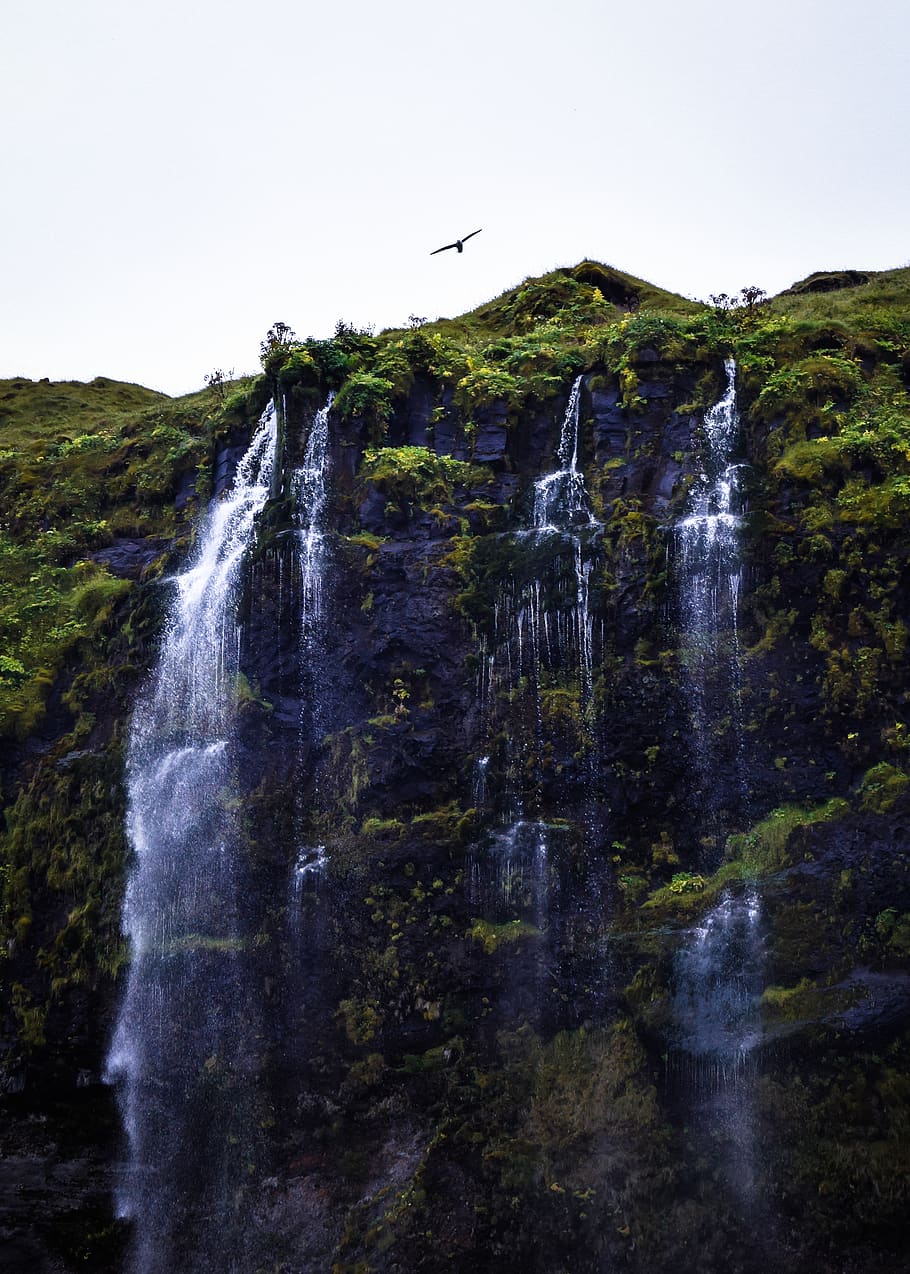 splash, flow, mountain, rock, moss, gull, earth, water, wild HD wallpaper