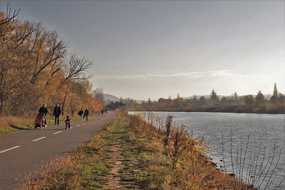fall, walk, nature, road, way, sun, light, river, tree, group of people HD wallpaper