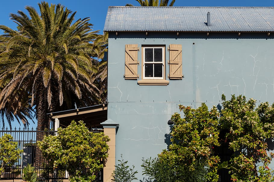 house beside tree, cottage, building, housing, cape town, south africa HD wallpaper