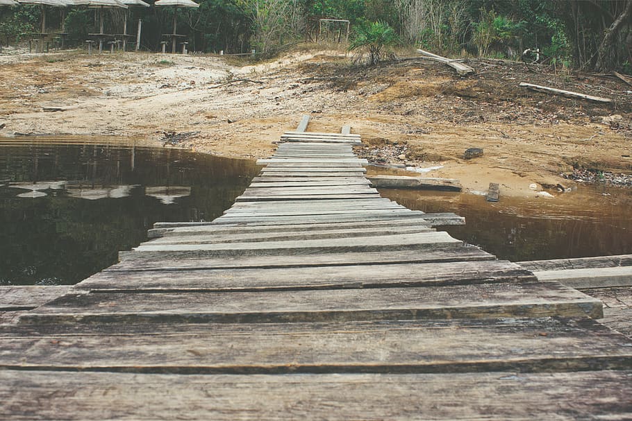 brazil, manaus, wooden, river, lake, forest, nature, wild, path