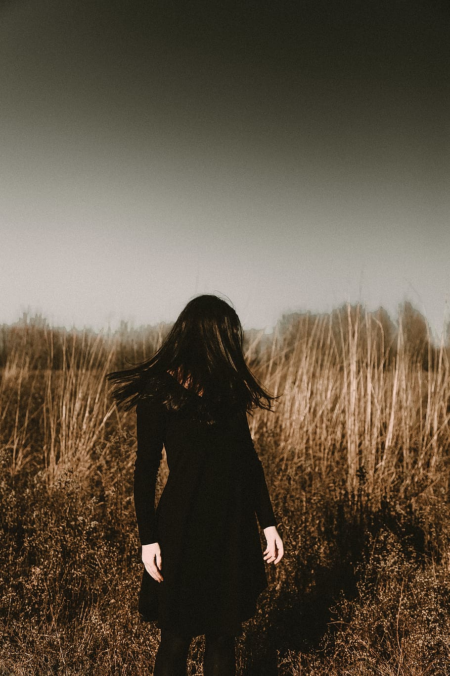 woman in black long-sleeved dress, grass, plant, apparel, clothing