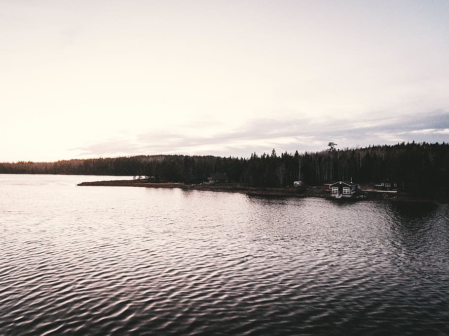 canada, kent county, drone, dji, cabin, woods, river, water HD wallpaper