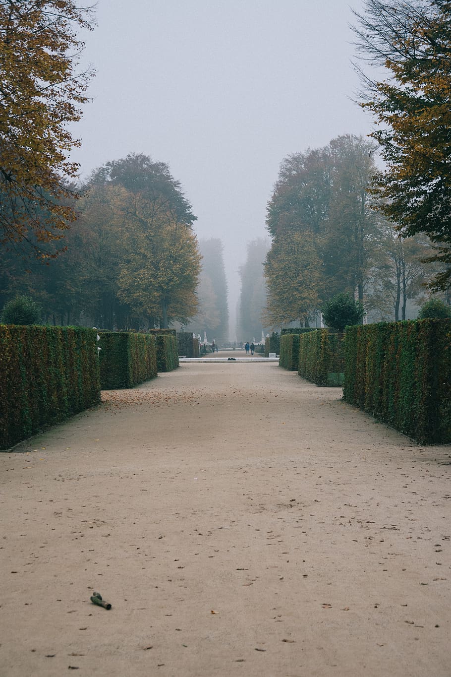 germany, potsdam, sanssouci park, fog, foggy, nature, green, HD wallpaper