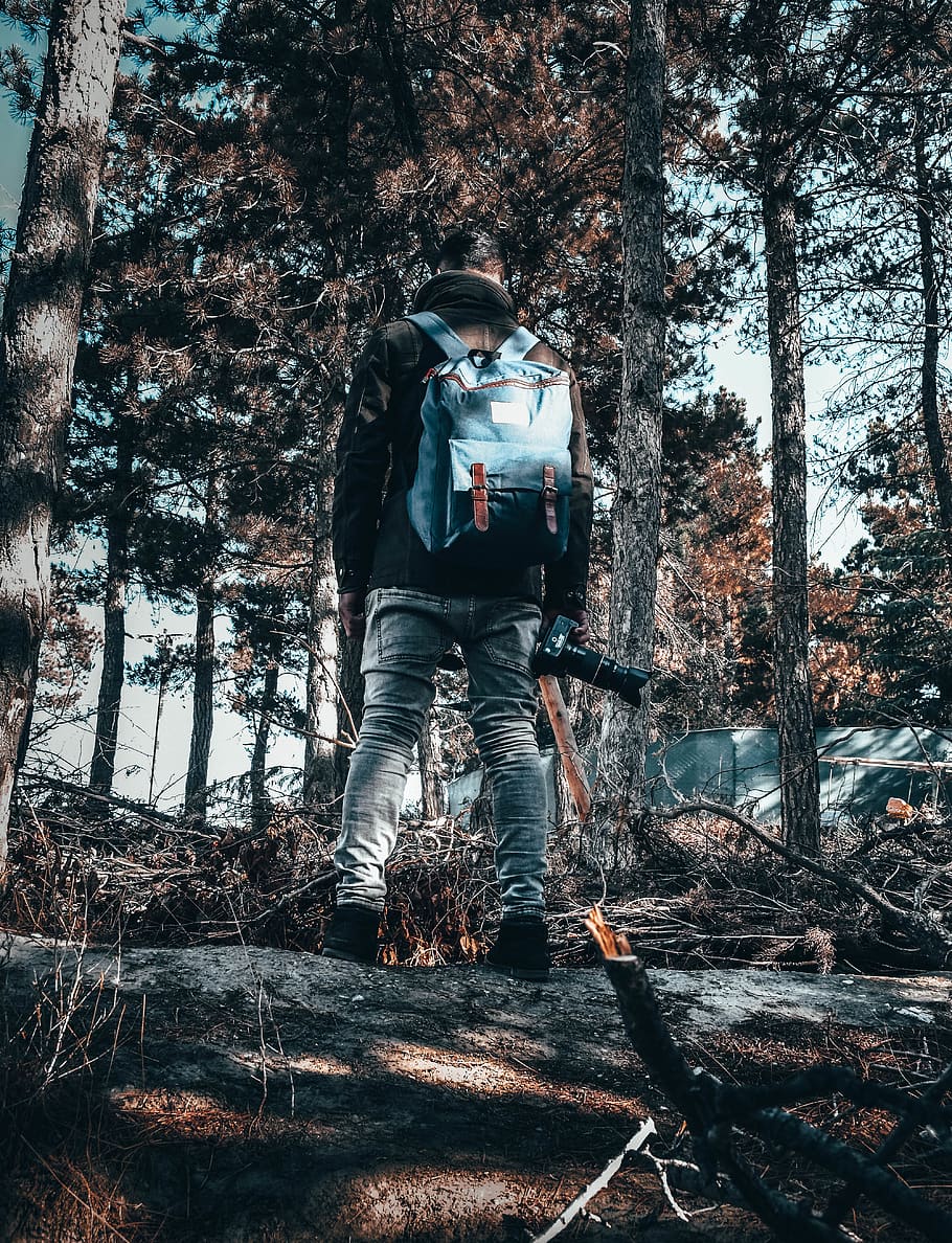 Man Wearing Gray Pants Standing Beside Trees, backpack, camera HD wallpaper