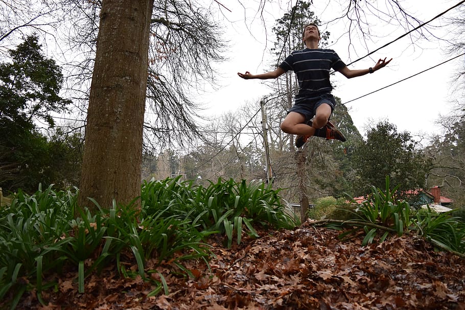 trees, plant, one person, full length, leisure activity, nature HD wallpaper