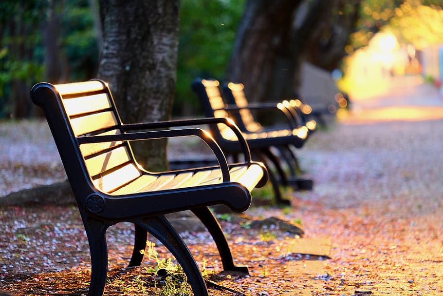 park, bench, sunset, trees, twilight, seat, focus on foreground HD wallpaper