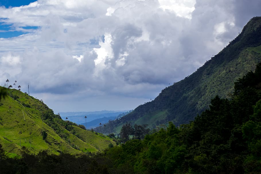 colombia, salento, cocora valley trail, mountains, green valley