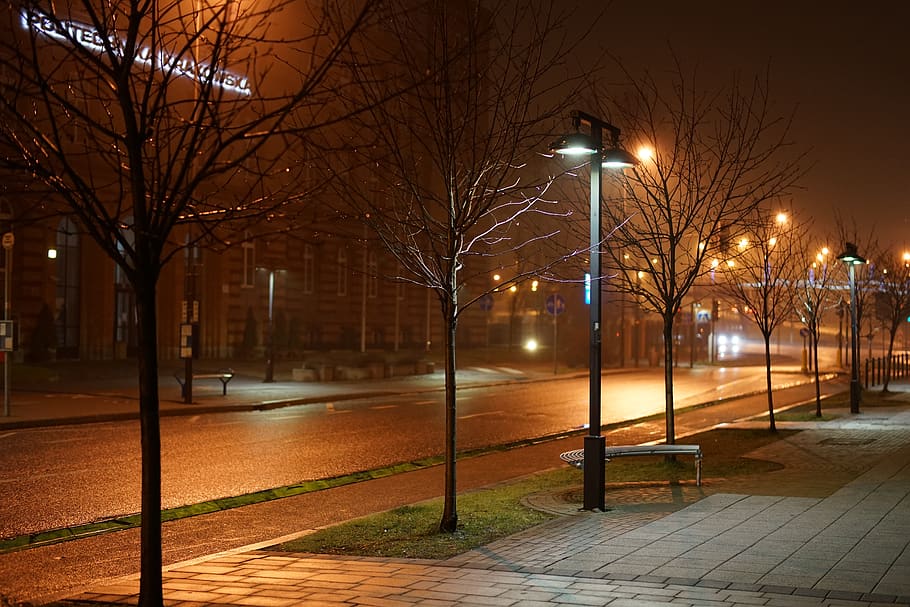 poland, kraków, illuminated, bare tree, night, street, street light HD wallpaper