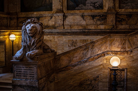 brown concrete lion statue, animal, mammal, wildlife, handrail HD wallpaper