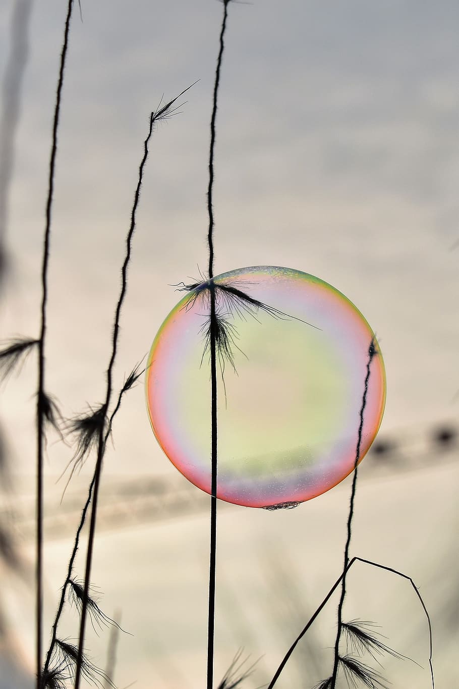 soap bubble, backlighting, mood, shimmer, rainbow colors, sunrise HD wallpaper