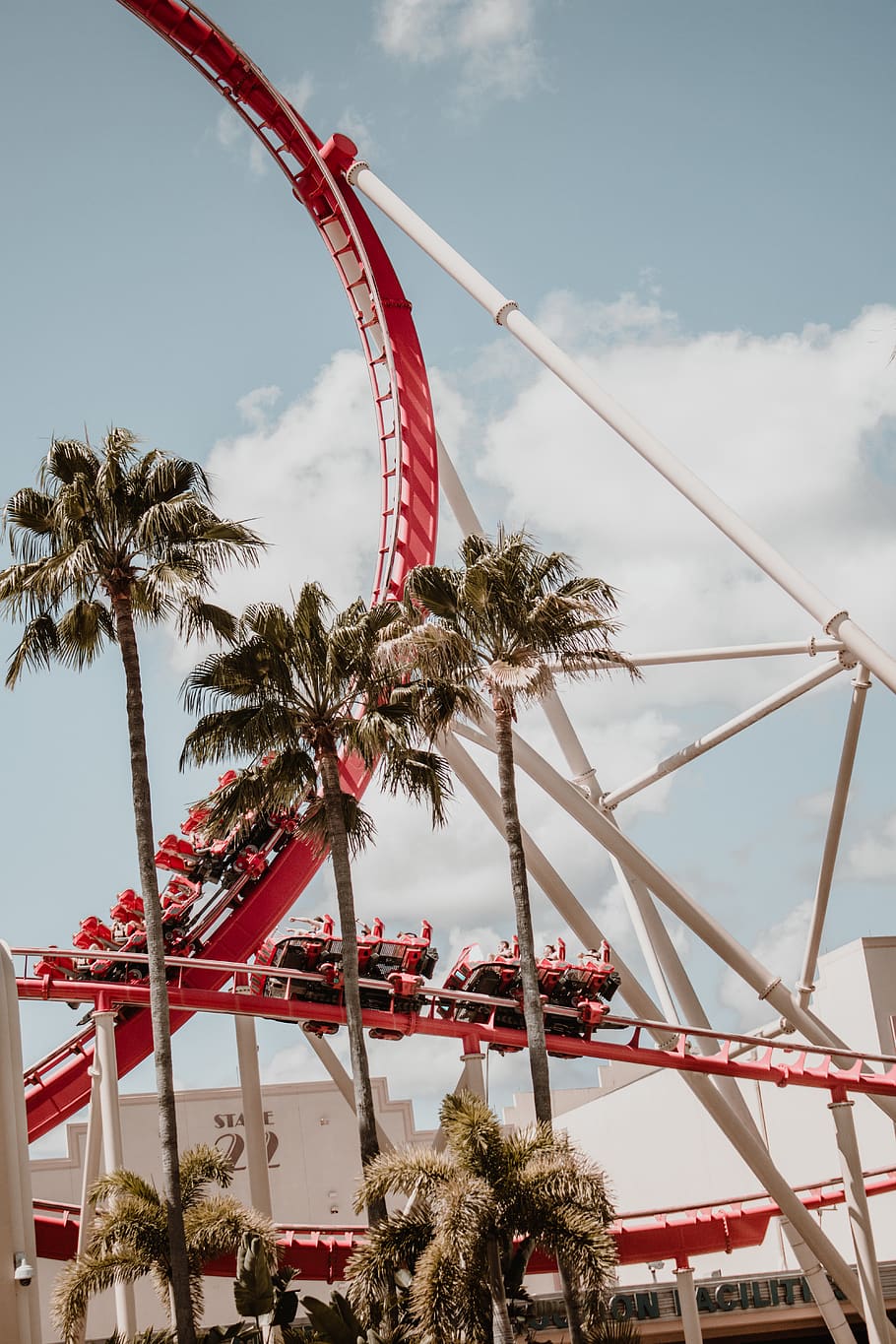 roller coaster near palm trees, sky, amusement park ride, arts culture and entertainment HD wallpaper
