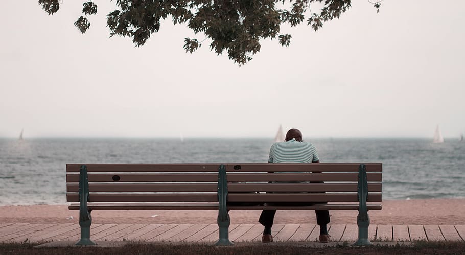 rear view, bench, sitting, seat, water, women, real people HD wallpaper