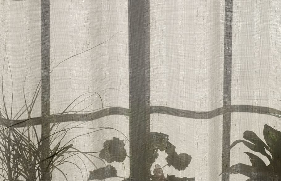 fabrics, gray, plants, shadows, windows, curtain, textile, day HD wallpaper