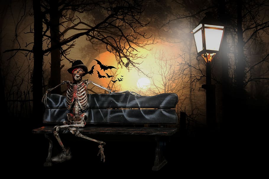 halloween, scary, skeleton, bats, dark, night, death, creepy, HD wallpaper