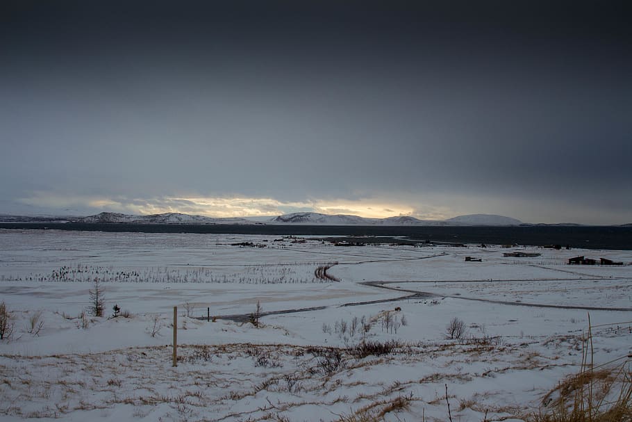 snow field, outdoors, nature, landscape, scenery, panoramic, bird HD wallpaper