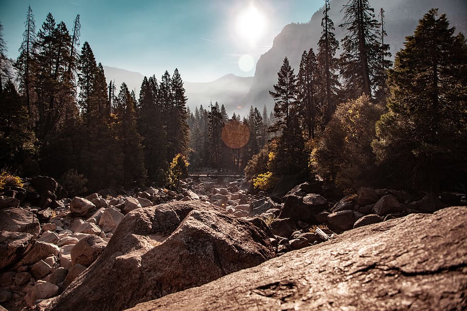 Trees Near Rocks, environment, landscape, mountain, nature, nature photography HD wallpaper