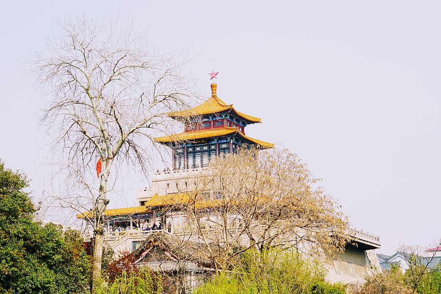 building, architecture, temple, shrine, pagoda, worship, housing HD wallpaper