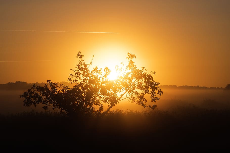 nature, sunlight, flare, sky, outdoors, dawn, red sky, sunset HD wallpaper