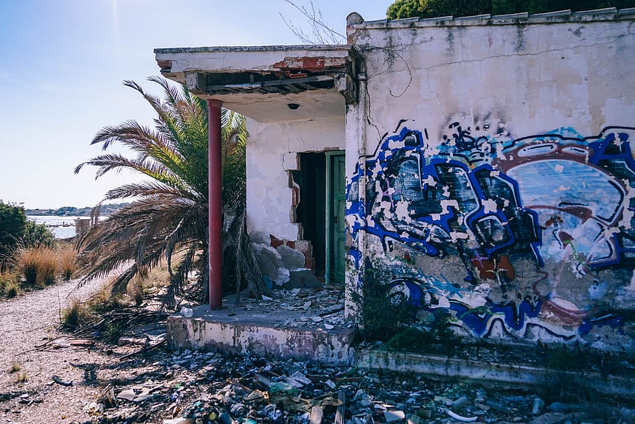 Plant Beside House, abandoned, architecture, art, beach, broken