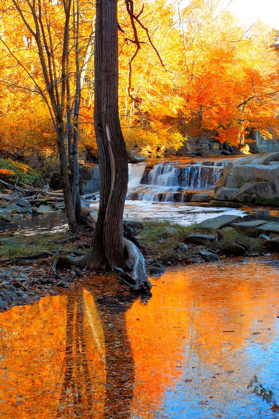 waterfall, trees, river, nature, landscape, outdoors, stream HD wallpaper