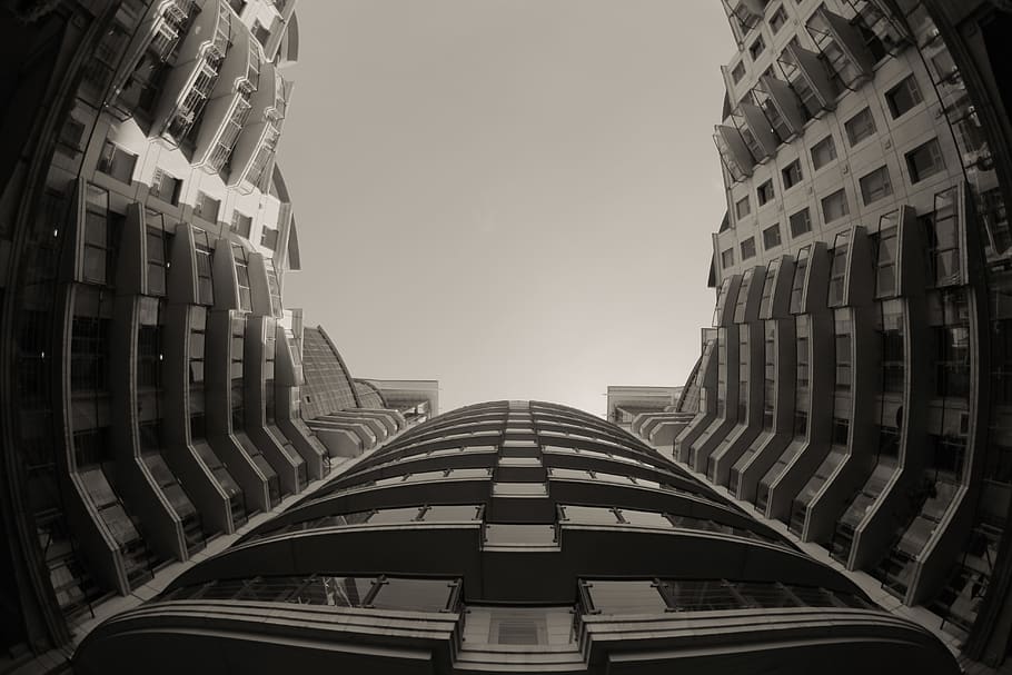 gray building during daytime, office building, city, town, urban HD wallpaper