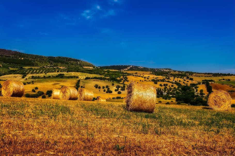 summer, field, straw, bale, landscape, straw bales, stubble HD wallpaper