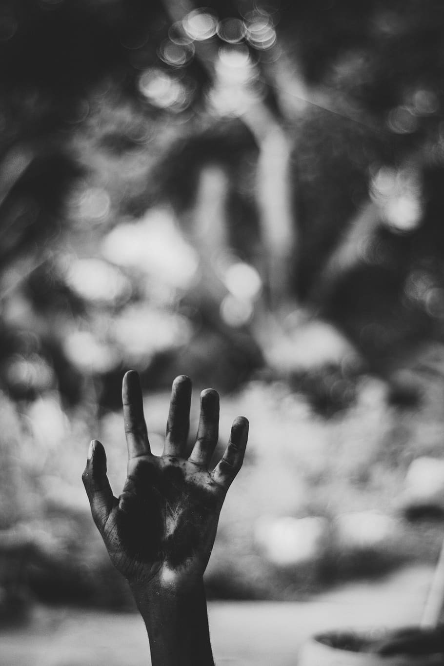 Grayscale Photo of Left Human Palm, black and white, blurred background, HD wallpaper