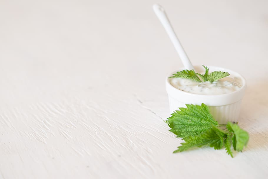 background, nettle, yogurt, white, nature, green, leaf, nettles HD wallpaper