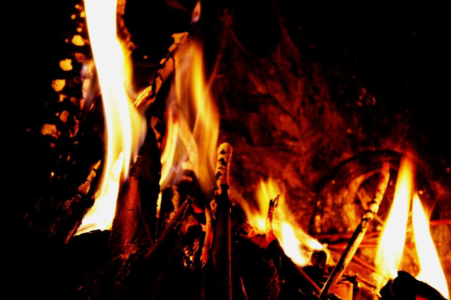 fire, fireplace, flames, wood, burn, warm, winter, orange, coal HD wallpaper