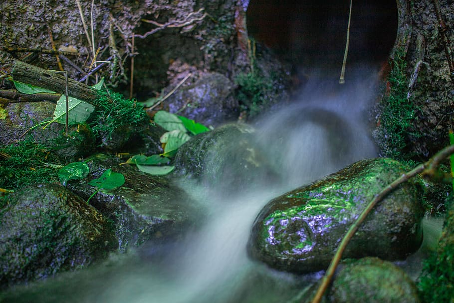 canada, goderich, water, scenics - nature, forest, plant, tree HD wallpaper