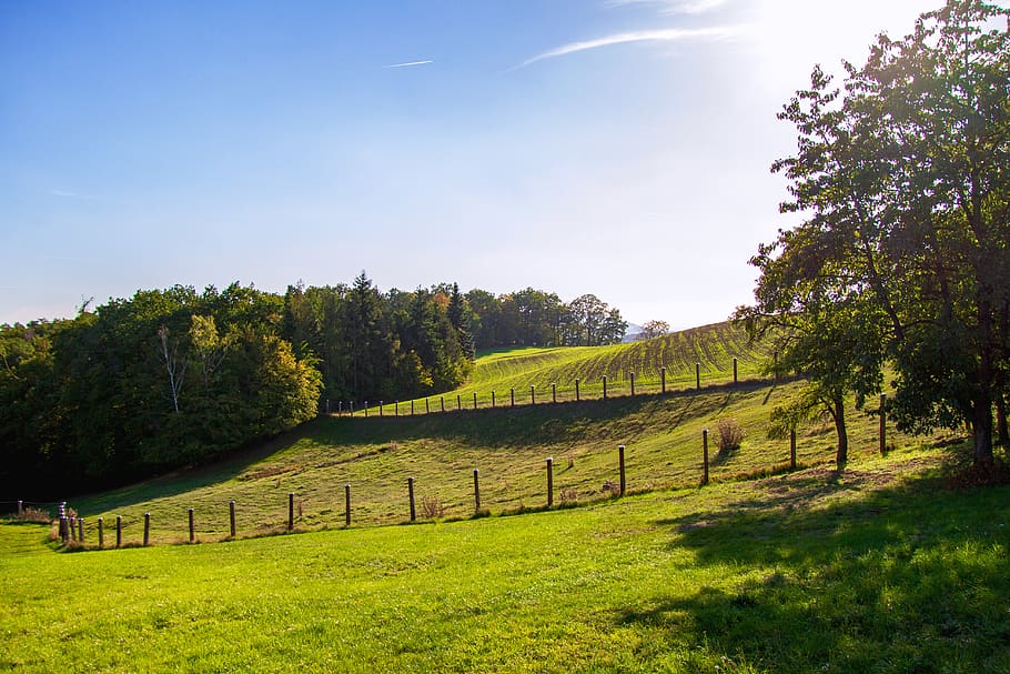 landscape, pasture, meadow, grass, rural, nature, sky, fence HD wallpaper