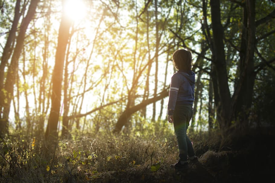 forest, sister, children, trees, love, foliage, landscape, friendship HD wallpaper