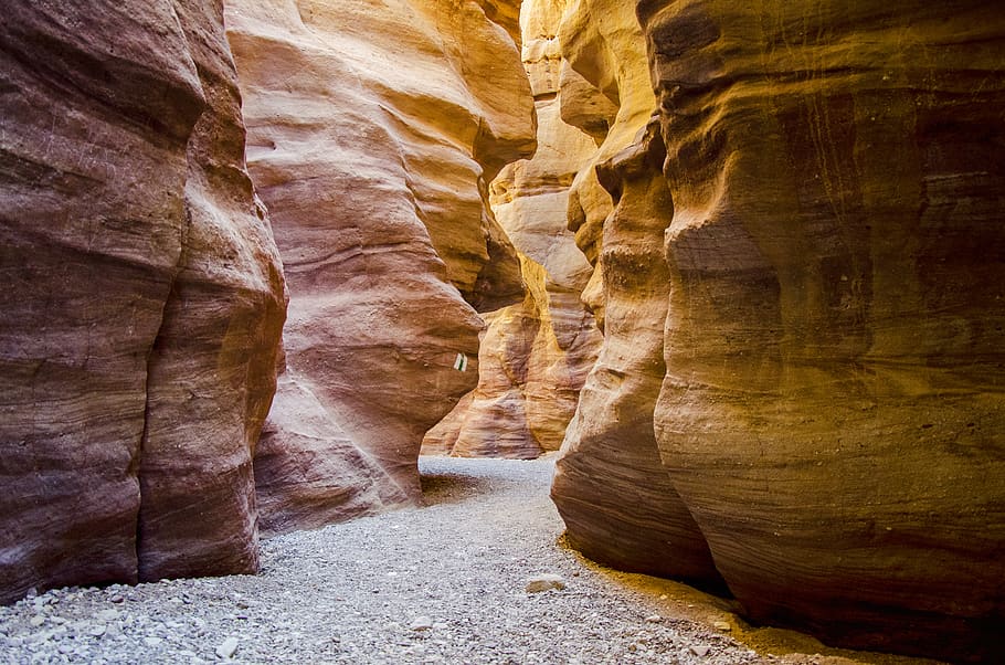 nature, relax, rest, ejlat, desert, walk, holiday, hot, world HD wallpaper