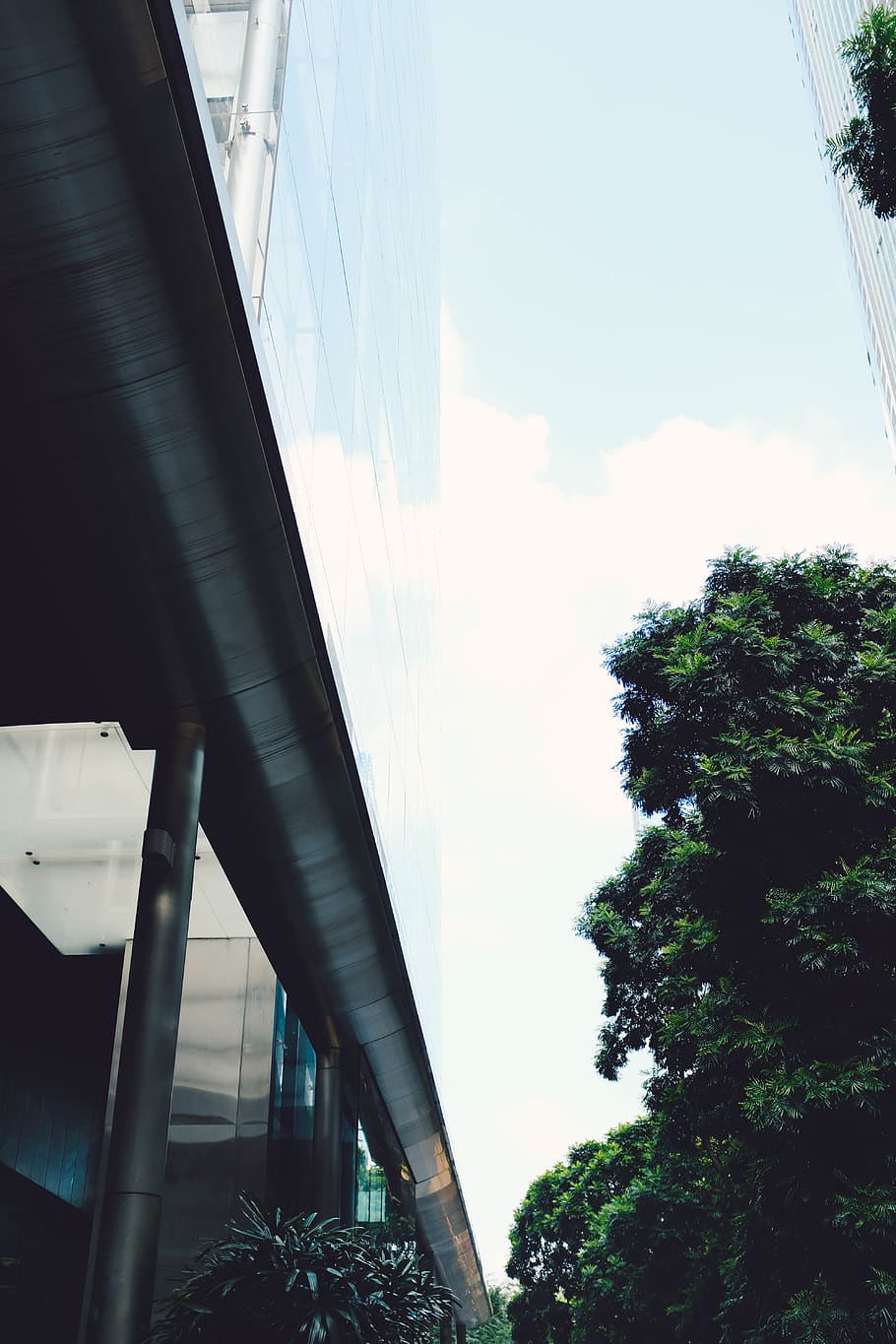 green-leafed tree, road, way, overpass, highway, building, plant HD wallpaper