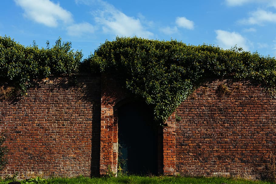 brick, wall, green, grass, trees, garden, plant, built structure HD wallpaper