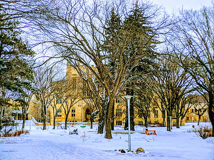 saskatoon, canada, saskatchewan, university, stone building HD wallpaper