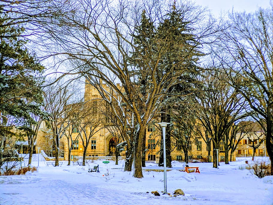 saskatoon, canada, saskatchewan, university, stone building HD wallpaper