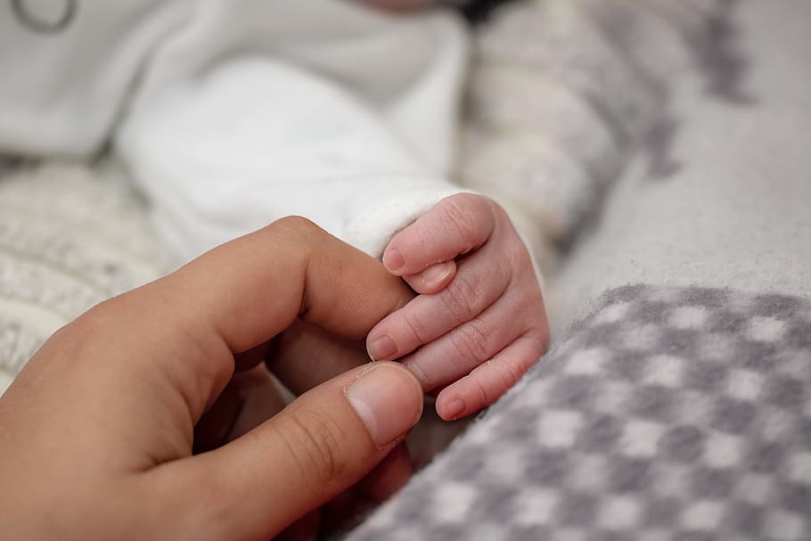 baby's hand, newborn, small hand, finger, woman's hand, contact, HD wallpaper