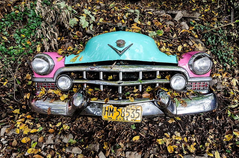 Photo of Car Covered with Leaves, auto, bumper, classic, design HD wallpaper