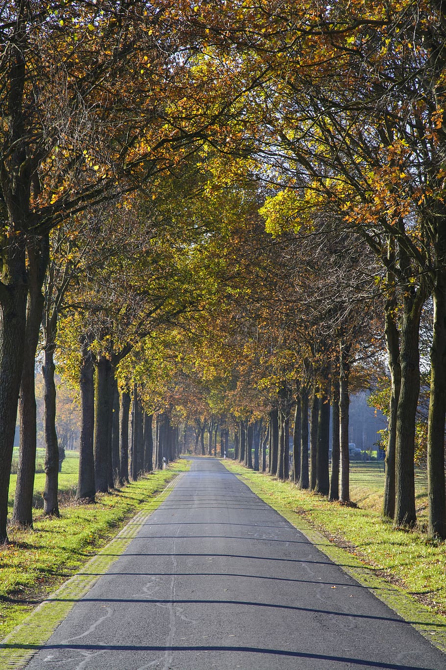 ōme-kaidō Avenue wallpapers - backiee