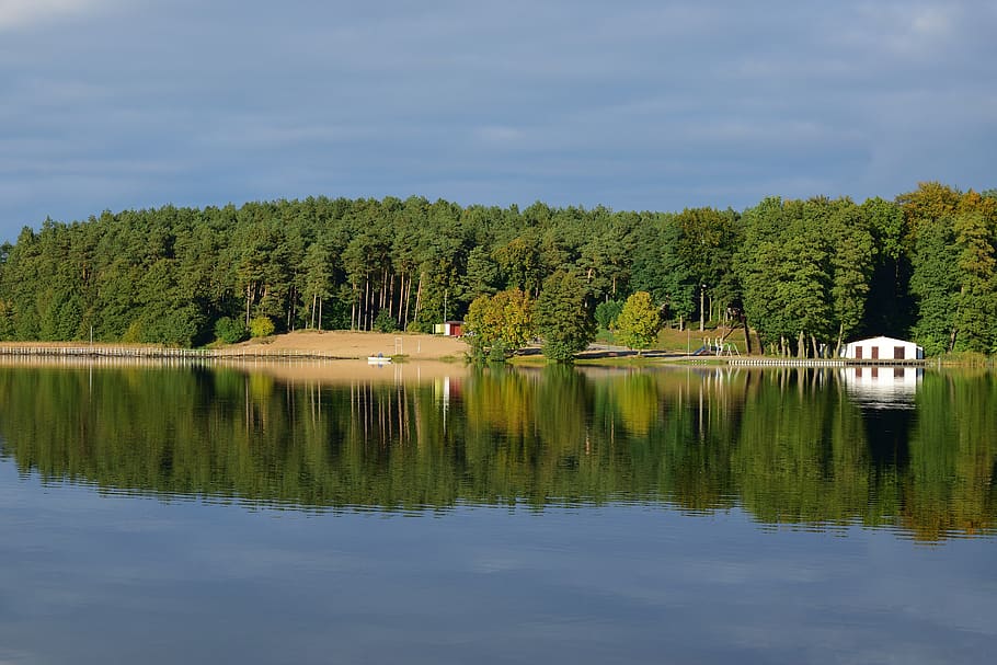 Landscape Photography of Trees and Body of Water, beach, coast HD wallpaper