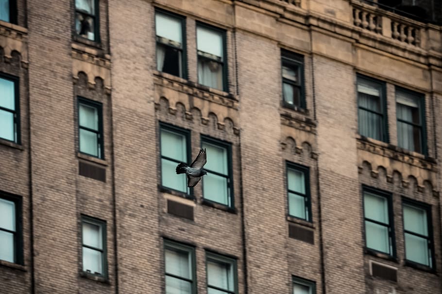 closed building windows, building exterior, architecture, built structure HD wallpaper