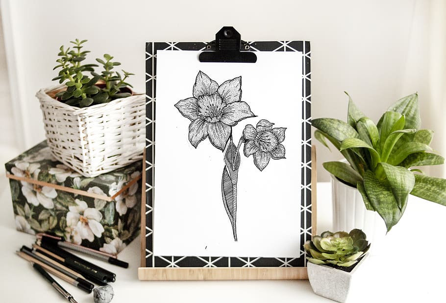 Black Flowers Sketch, art, clipboard, drawing, plant, leaf, plant part HD wallpaper