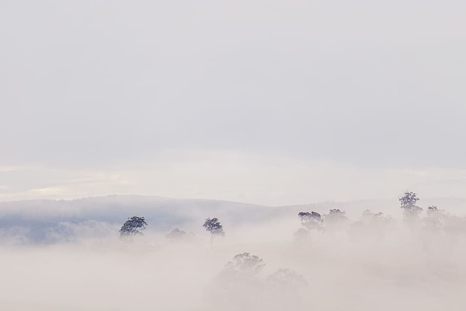 landscape, nature, clouds, cloudy, daylight, environment, fog HD wallpaper
