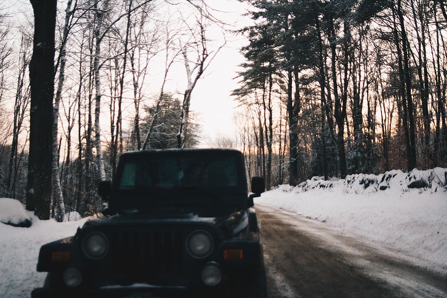 united states, sutton, forest, trees, nature, adventure, jeep HD wallpaper