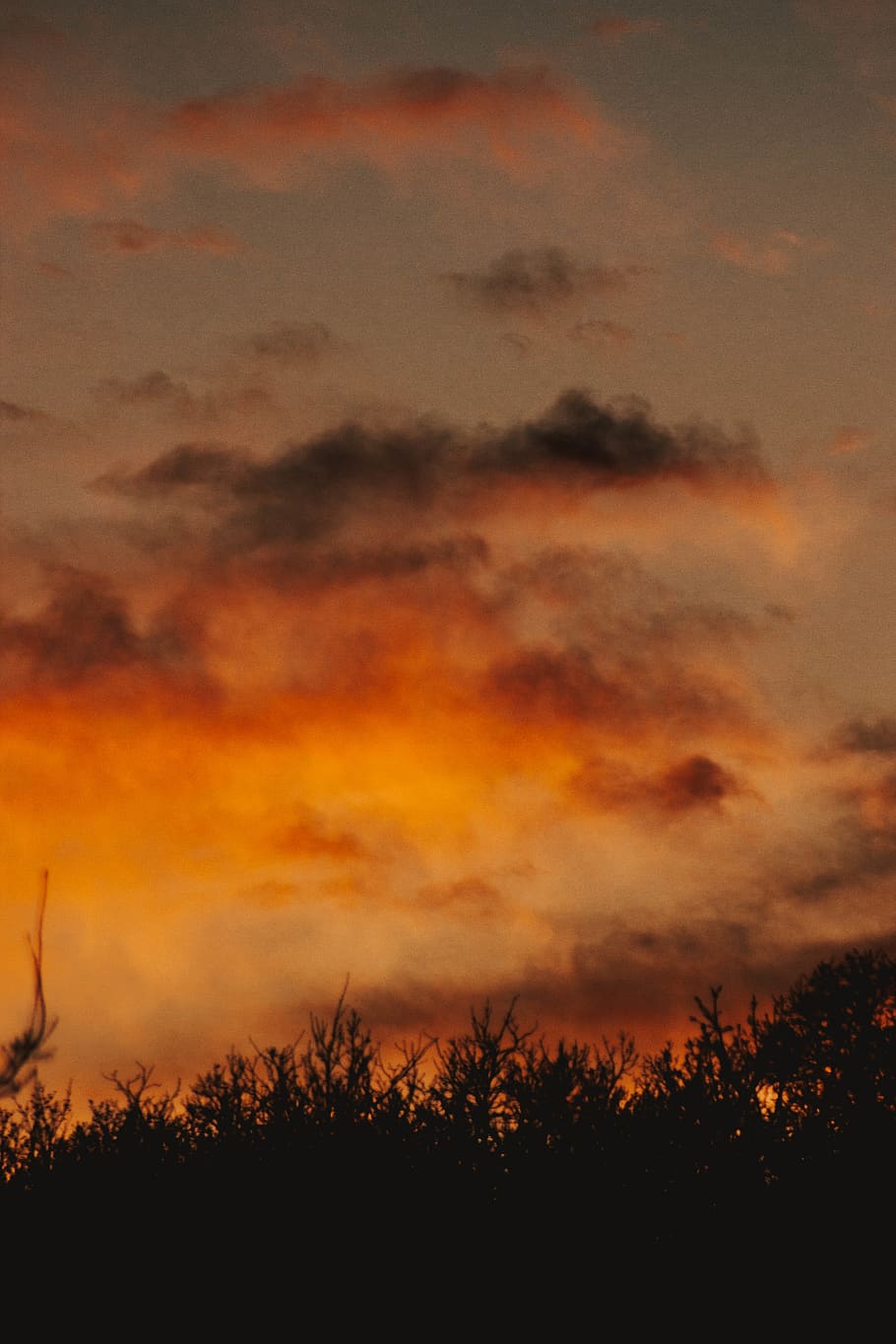 nature, outdoors, sky, sunset, weather, dusk, dawn, red sky HD wallpaper