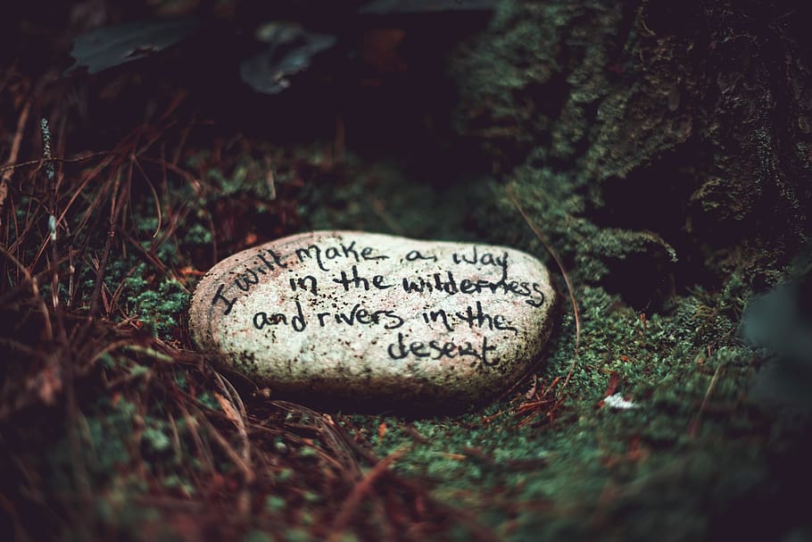 white stone, text, western script, communication, selective focus HD wallpaper