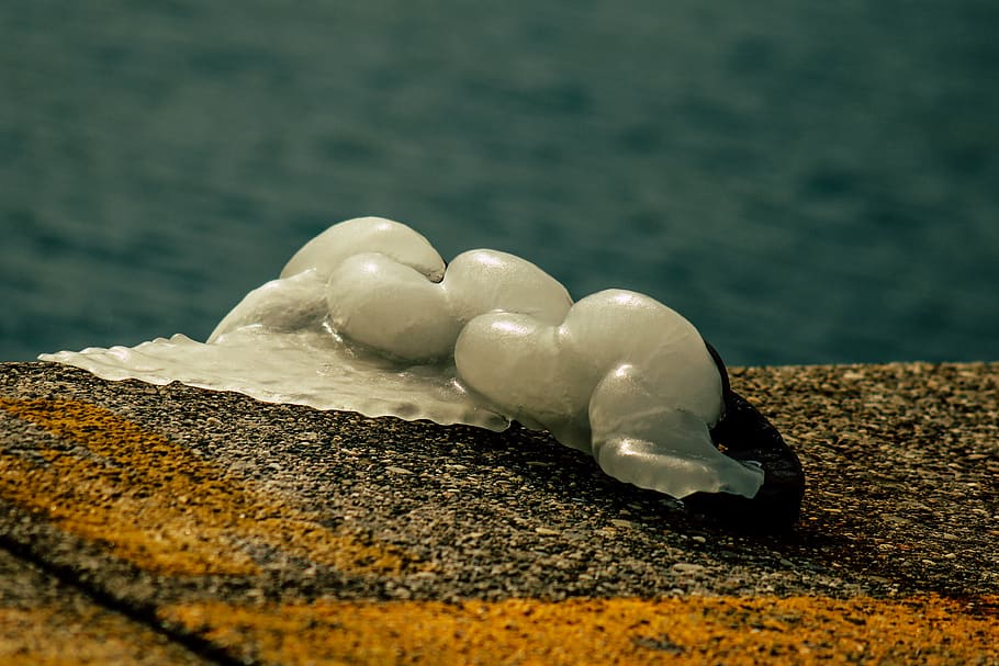 italy, muggia, wind, macro, chain, sea, ice, water, no people HD wallpaper