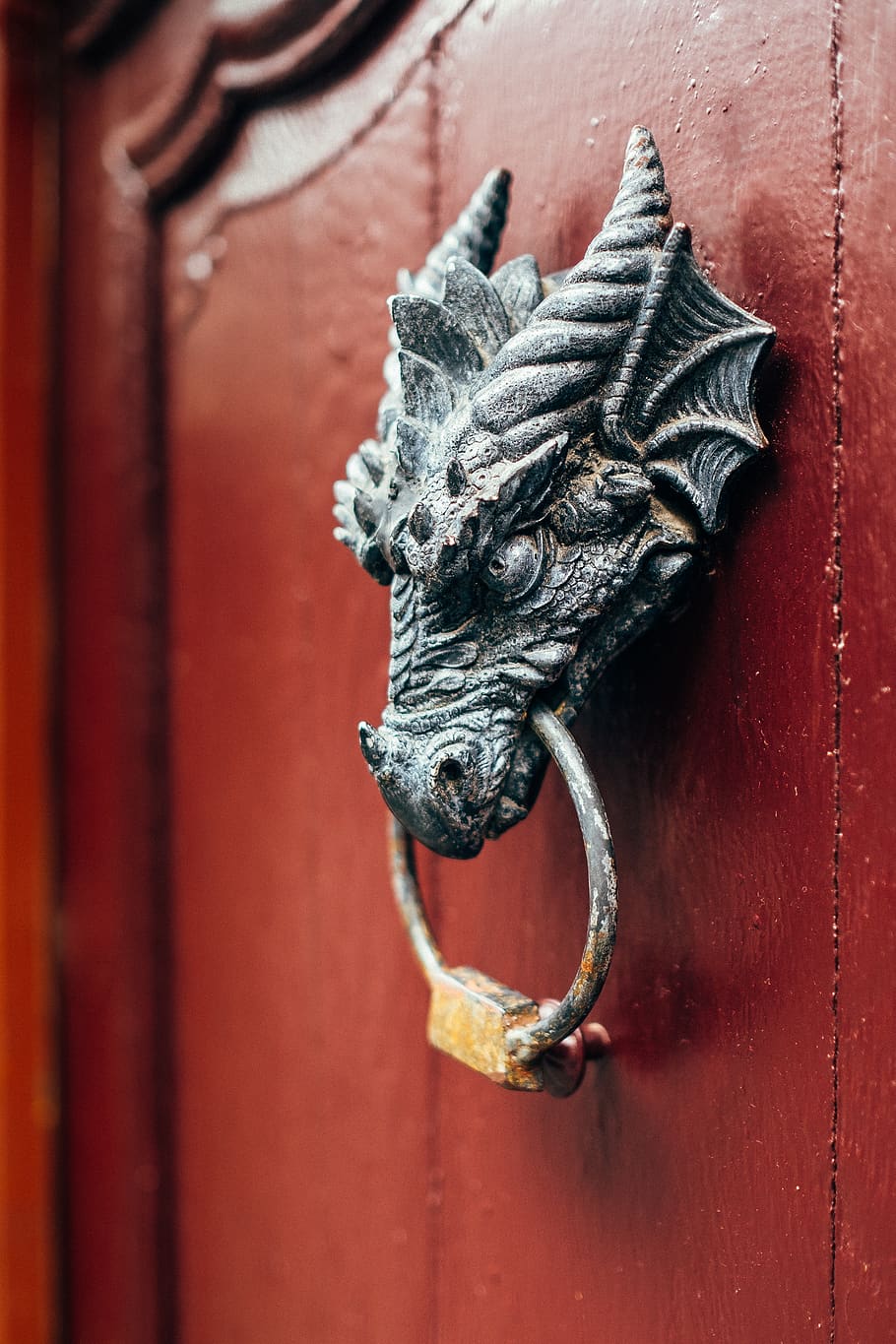 animal, reptile, lizard, handle, monschau, germany, door, dragon HD wallpaper