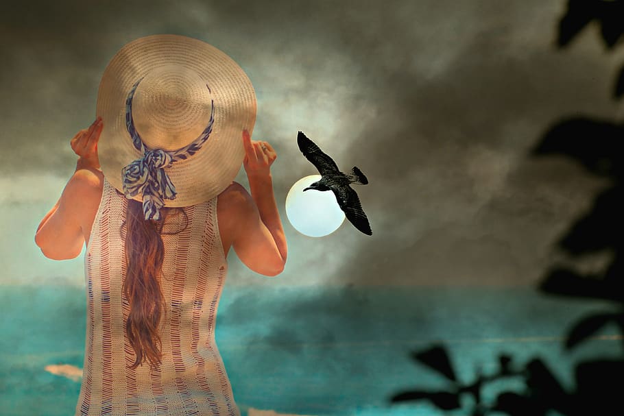 lady, straw hat, moon, bird, silhouette, sea, horizon, watching HD wallpaper